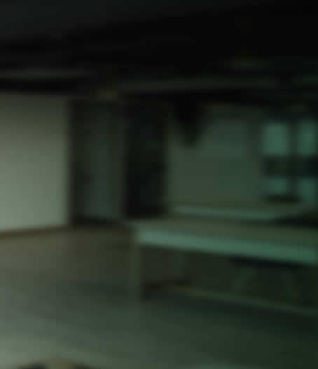 INTERNET + VIDEOVIGILANCIA 